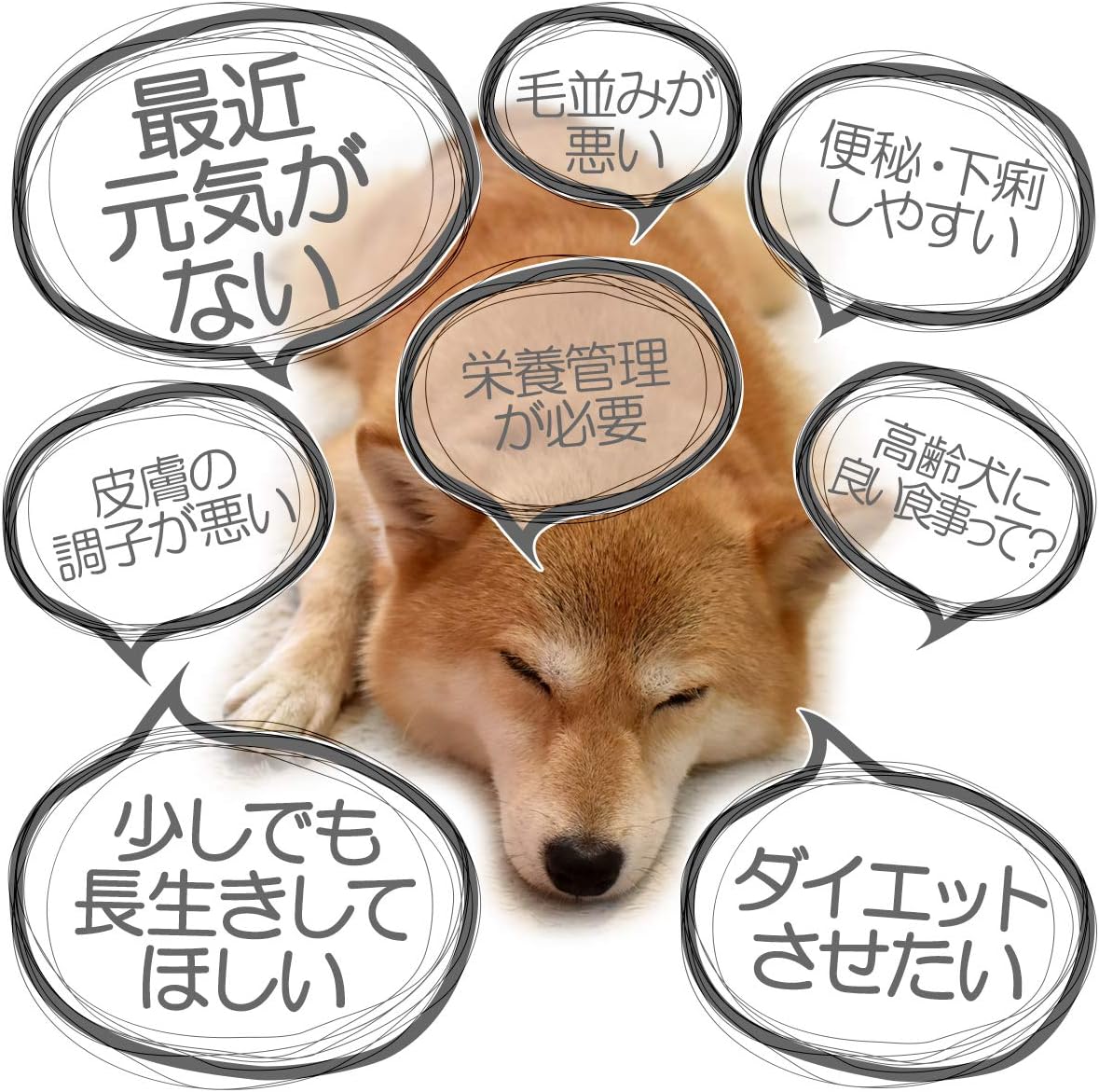 犬用ふりかけ 発酵ベジパワー 無添加 国産 52種の発酵野菜酵素(100g)