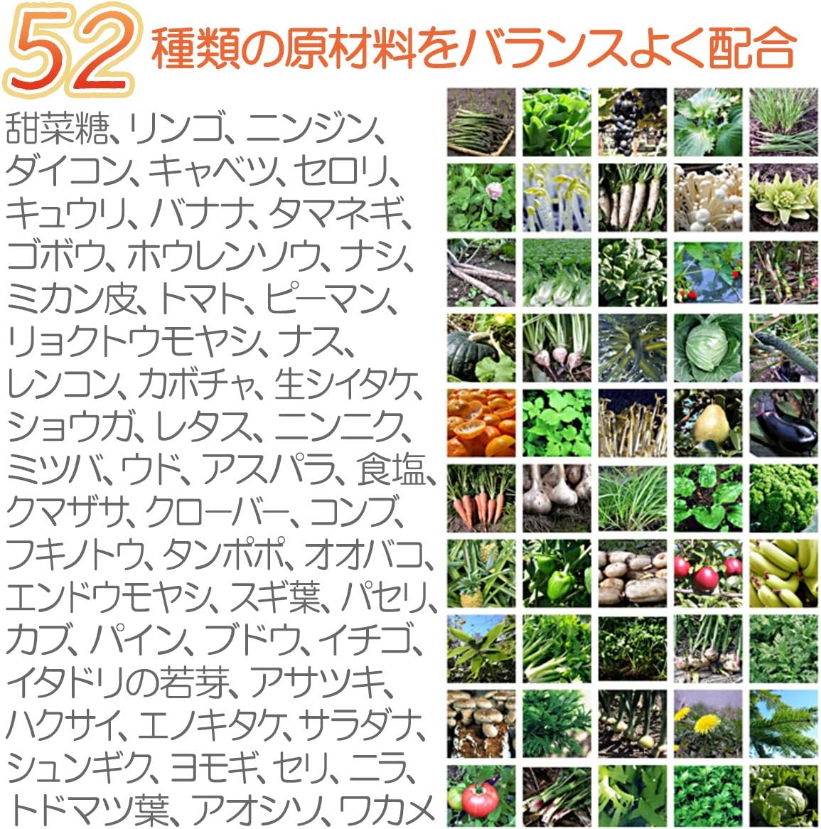 犬用ふりかけ 発酵ベジパワー 無添加 国産 52種の発酵野菜酵素(100g)